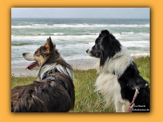 JayJay und Jayla (1).jpg